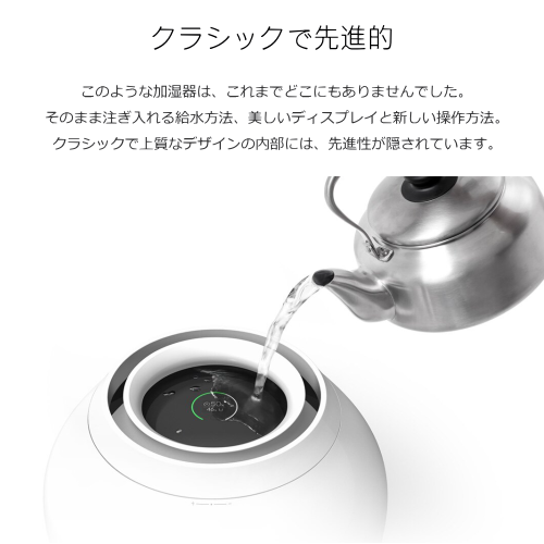 BALMUDA 	バルミューダ ERN-1100SD Rain スタンダード 加湿器 送料無料(沖縄県を除く)