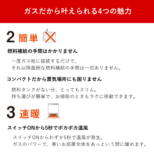 Rinnai リンナイ RC-B5801ACP 12A13A ガスファンヒーター 都市ガス用 プラズマクラスター搭載 Wiz ホワイト 送料無料(沖縄県・離島除く)