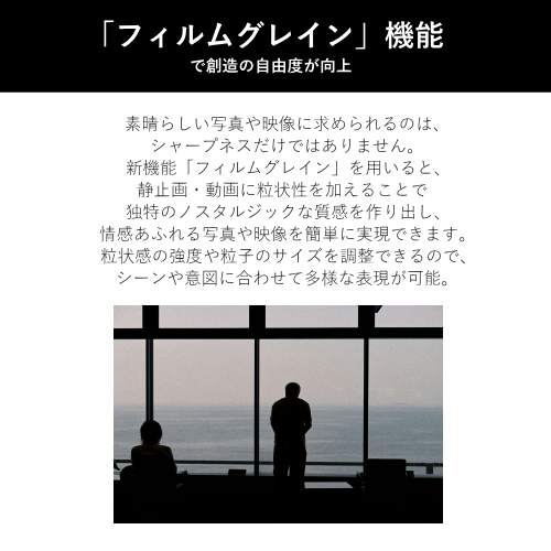 Nikon Z f ミラーレス一眼レフカメラ 40mm f/2(SE)レンズキット シルバー 送料無料(沖縄県・離島を除く)