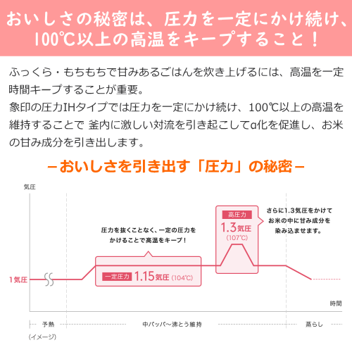 象印 NW-CA10-BA 圧力IH炊飯ジャー 極め炊き 5.5合 ブラック 送料無料(沖縄県・離島除く)