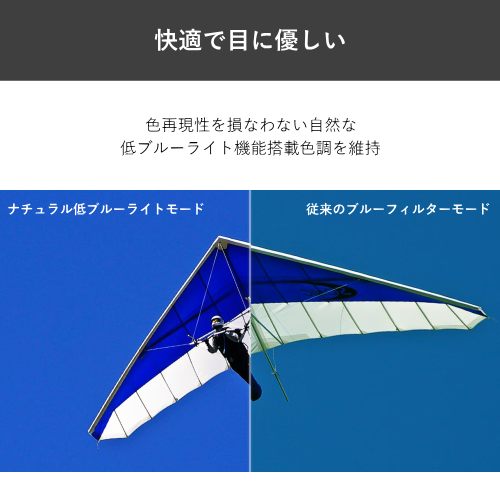 Lenovo 63DEKAR3JP ThinkVision S24i-30 23.8型 液晶モニター 送料無料(沖縄県・離島除く)