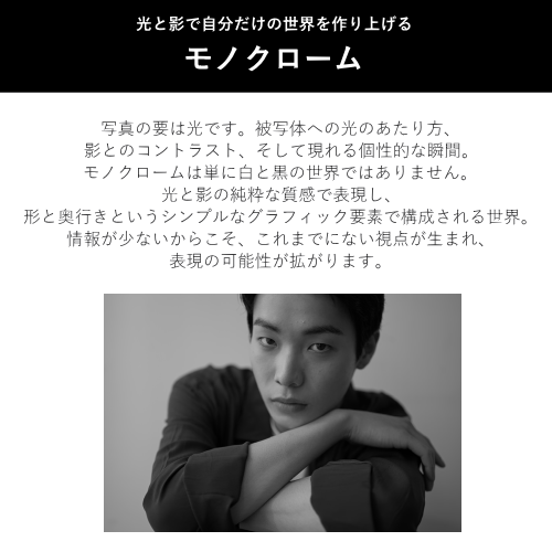 Nikon Z f ミラーレス一眼レフカメラ 40mm f/2(SE)レンズキット シルバー 送料無料(沖縄県・離島を除く)