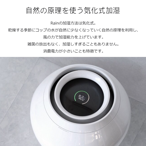 箱あり・説明書付】バルミューダRain 加湿器