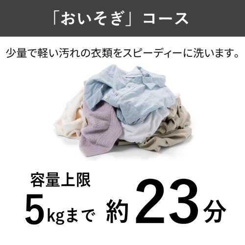 【標準設置費込】日立 ビートウォッシュ BW-V100P(W) タテ型洗濯機 10kg ホワイト 送料無料(東京/神奈川/千葉のみ配送可能)