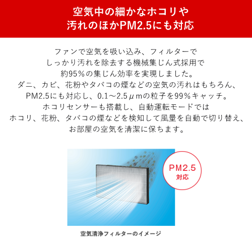 Rinnai リンナイ RC-B5801ACP 12A13A ガスファンヒーター 都市ガス用 プラズマクラスター搭載 Wiz ホワイト 送料無料(沖縄県・離島除く)