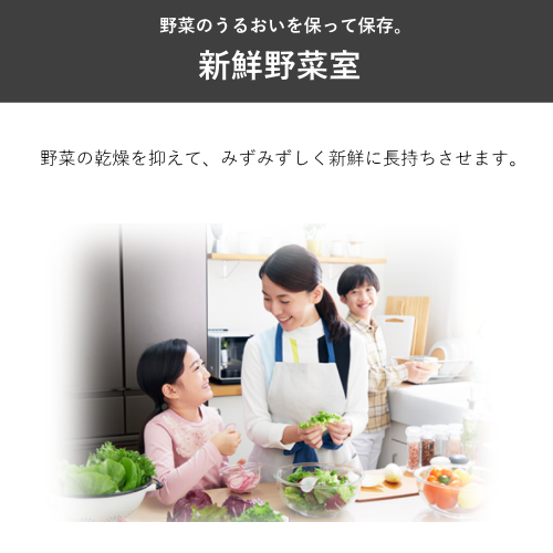 【標準設置費込】三菱電機 MR-JW50N-M 冷蔵庫 両開き 中だけひろびろ大容量 JWシリーズ 495L ロイヤルウッド 送料無料(東京/神奈川/千葉のみ配送可能)