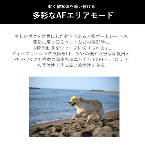 Nikon Z f ミラーレス一眼レフカメラ 40mm f/2(SE)レンズキット シルバー 送料無料(沖縄県・離島を除く)