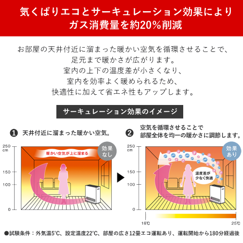 Rinnai リンナイ RC-B5801ACP 12A13A ガスファンヒーター 都市ガス用 プラズマクラスター搭載 Wiz ホワイト 送料無料(沖縄県・離島除く)